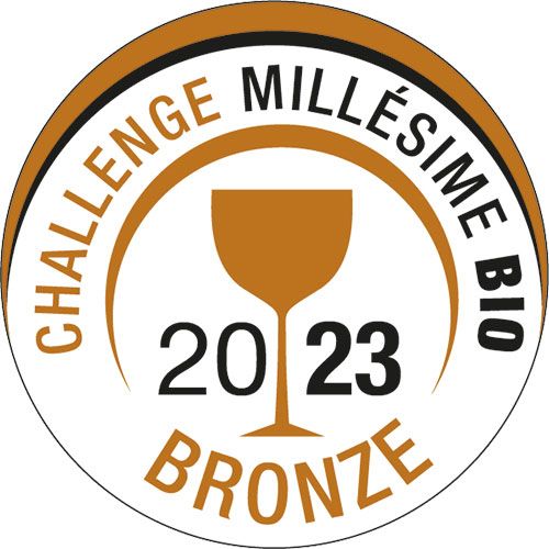 Bronze 2023