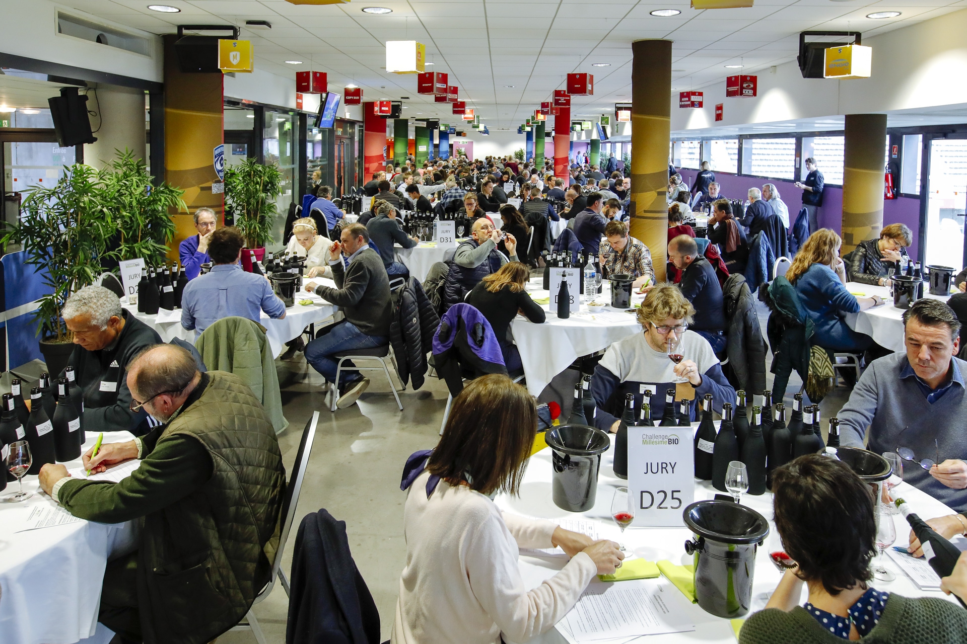 Challenge Millésime Bio